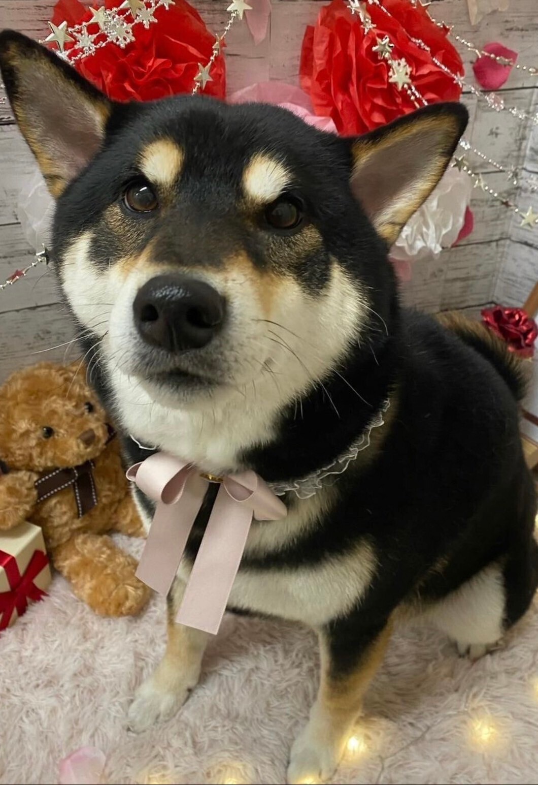 株式会社トランク|採用募集