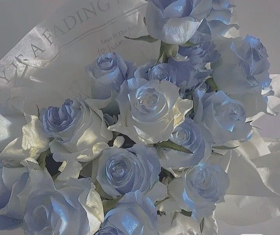 株式会社トランク|採用募集